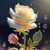 user612826202