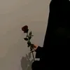 dyeh0ya4ue6p