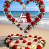 user6474115078290
