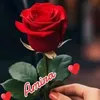 soso_jan505