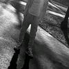 riaz._notfound