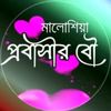 প্রবাসীর বৌ