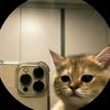 jeferson_janampa