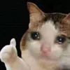 chonkyboi_yt