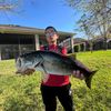 profishermann
