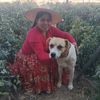 Cholita Mamila