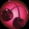 bruxinhadobem01