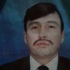 plinio648