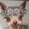 heatherbaker383