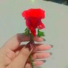 emanfatima2330