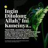 wansabwmz