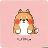 chiiiiiii.com