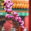 thanhtam.qn91