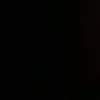 floea_ren