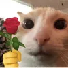 sup_wantedgoyda