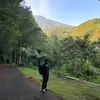 tianrintut