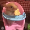 tho_hay_quau