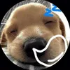 nuotcalop