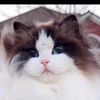 alinaser781
