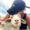 thelittlesanctuary