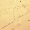 heer_n4sser