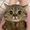 .aprrril