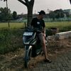 dmsskatbrt