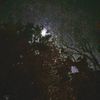 unknowntadapole_0