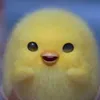 tathyh0