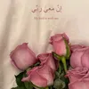 a8__fop