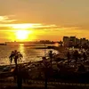 ala6tkmf