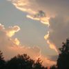 elizabethbrown644