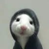 toocoolt0die