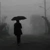 Brn