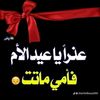 ali.hassane77