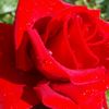 user7198861869573