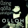 rozimuhamad09