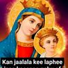 alemwerku7