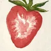 valentineheartz