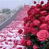 user8121399026280