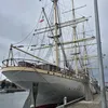 justfred15