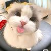 ittsyuuuuuu