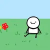 cptnkiwi