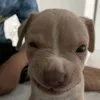 eaepiress
