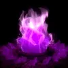 plume_de_feu33110