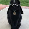 unknown_buddy08