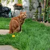 simba20_24