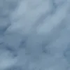 jerryrat123