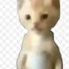pana_migue2