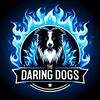 thedaringdogs